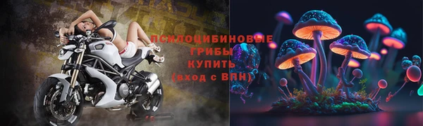 мяу мяу мука Инта