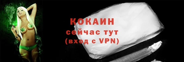 крисы Инсар