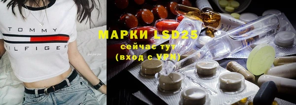 мяу мяу мука Инта