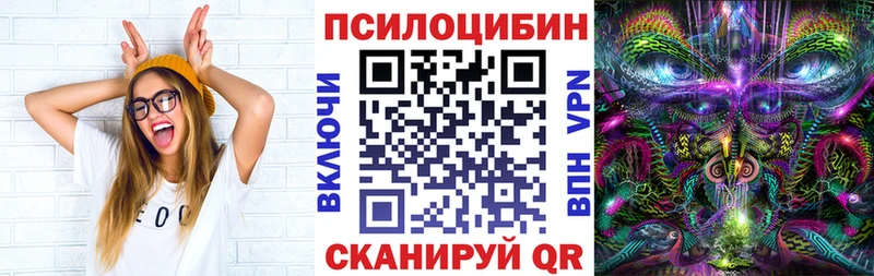 omg маркетплейс  shop как зайти  Слободской  Галлюциногенные грибы Psilocybe  наркотики 