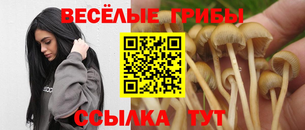 Галлюциногенные грибы Magic Shrooms  Вход с VPN  Слободской  Псилоцибиновые грибы мицелий 